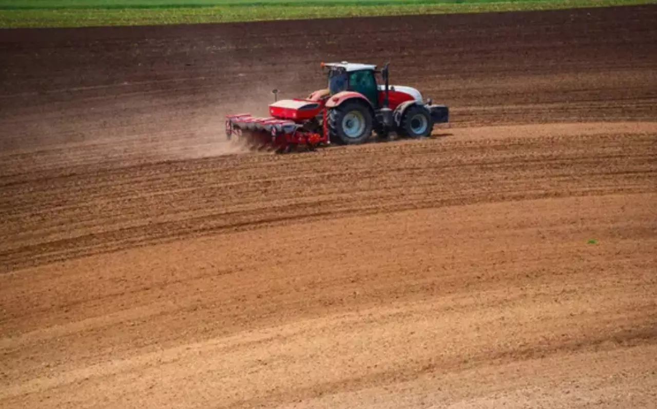 Контроль за диверсификацией посевных ужесточат в Казахстане