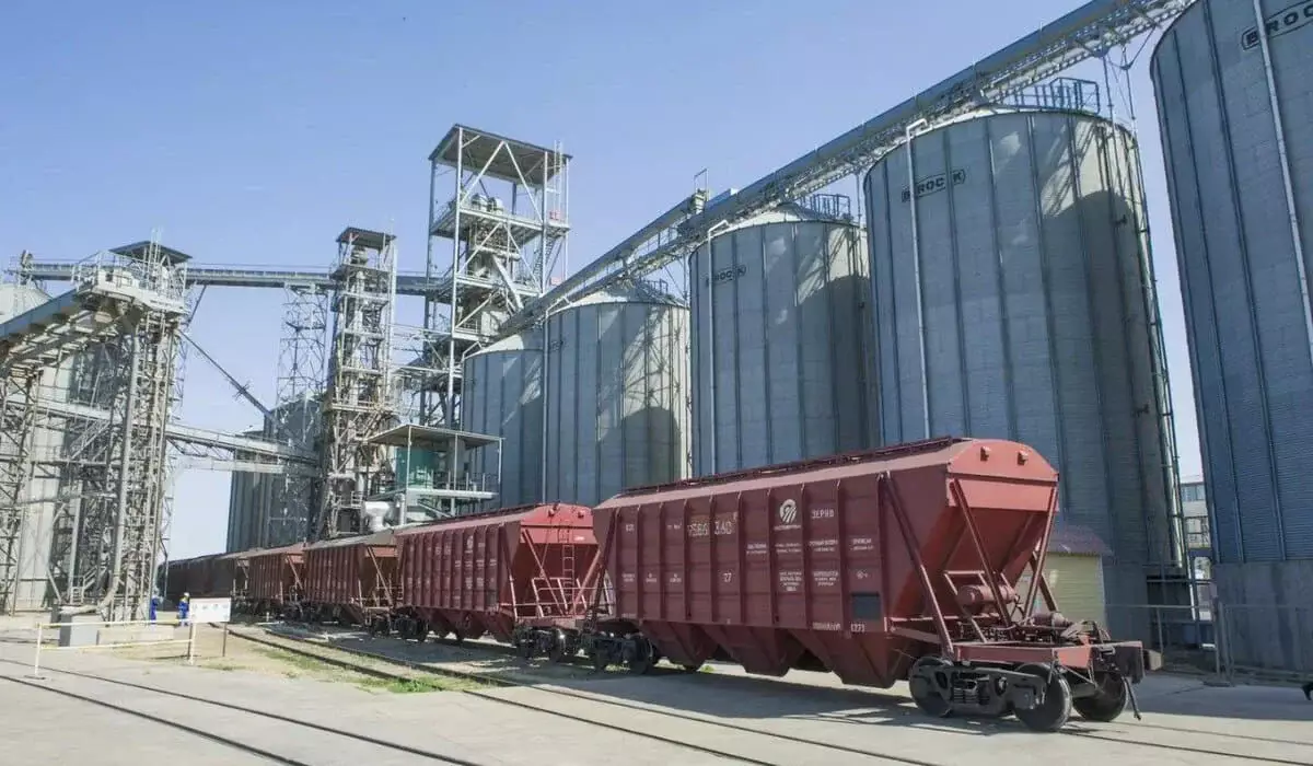 Казахстанское зерно начали экспортировать в Западную Европу