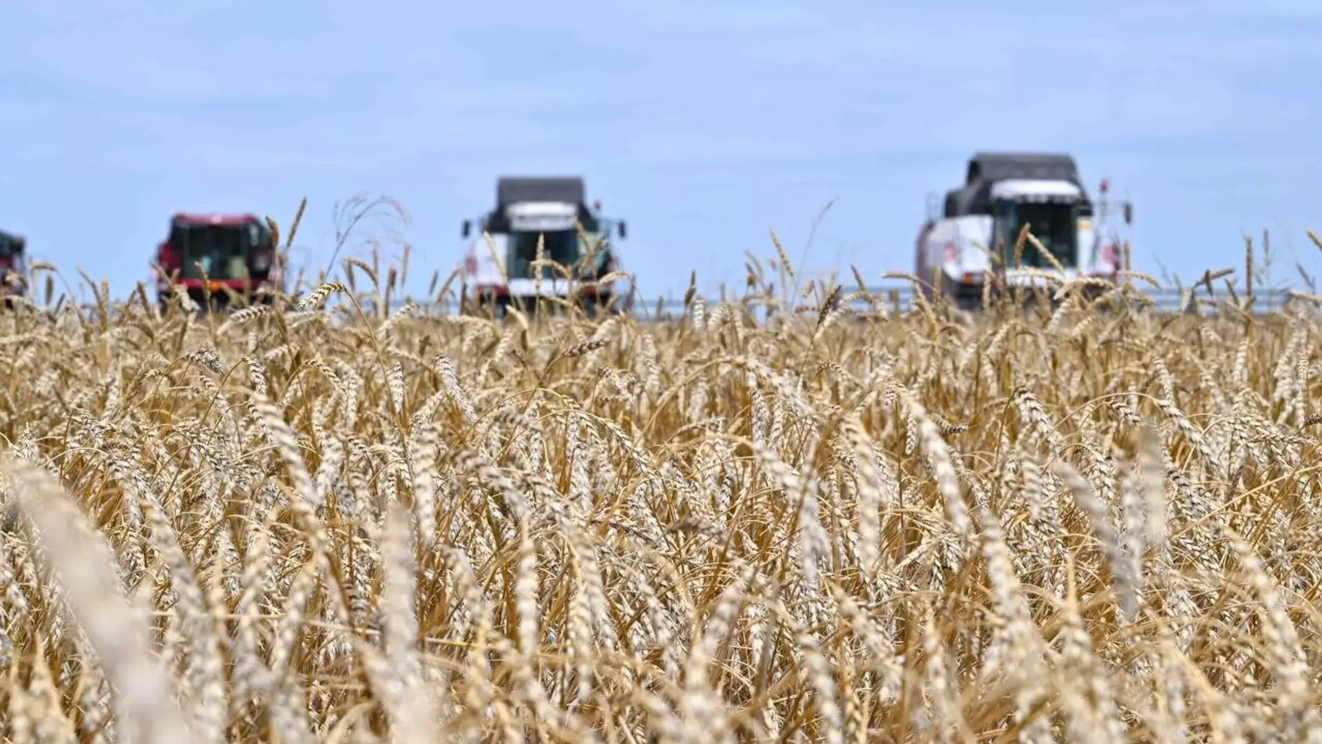 От традиционного экспорта к глубокой переработке: Бектенов дал поручения по поводу урожая