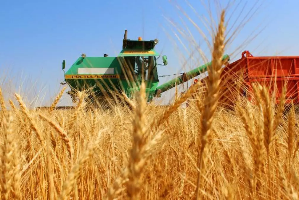 Программа субсидирования экспорта продлена до 2026 года