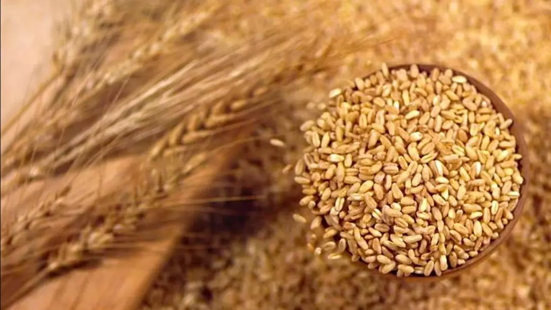 Агроөнеркәсіпке несие беру көлемі алғаш рет 1 трлн теңгеге жетті