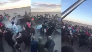 Көкпар ойынына көлікпен кіріп кеткен жүргізушіге қатысты қылмыстық іс қозғалды