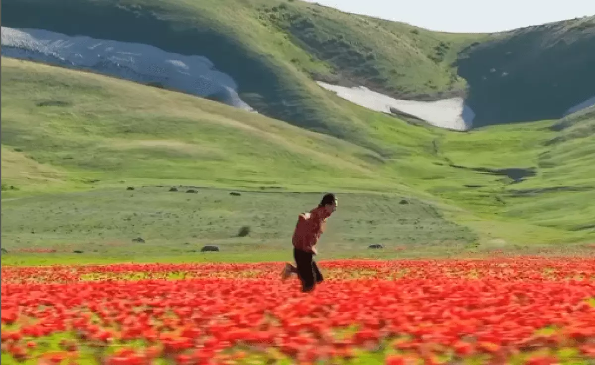 Instagram стал подписчиком казахстанца Дастана Мухамедрахима (ВИДЕО)