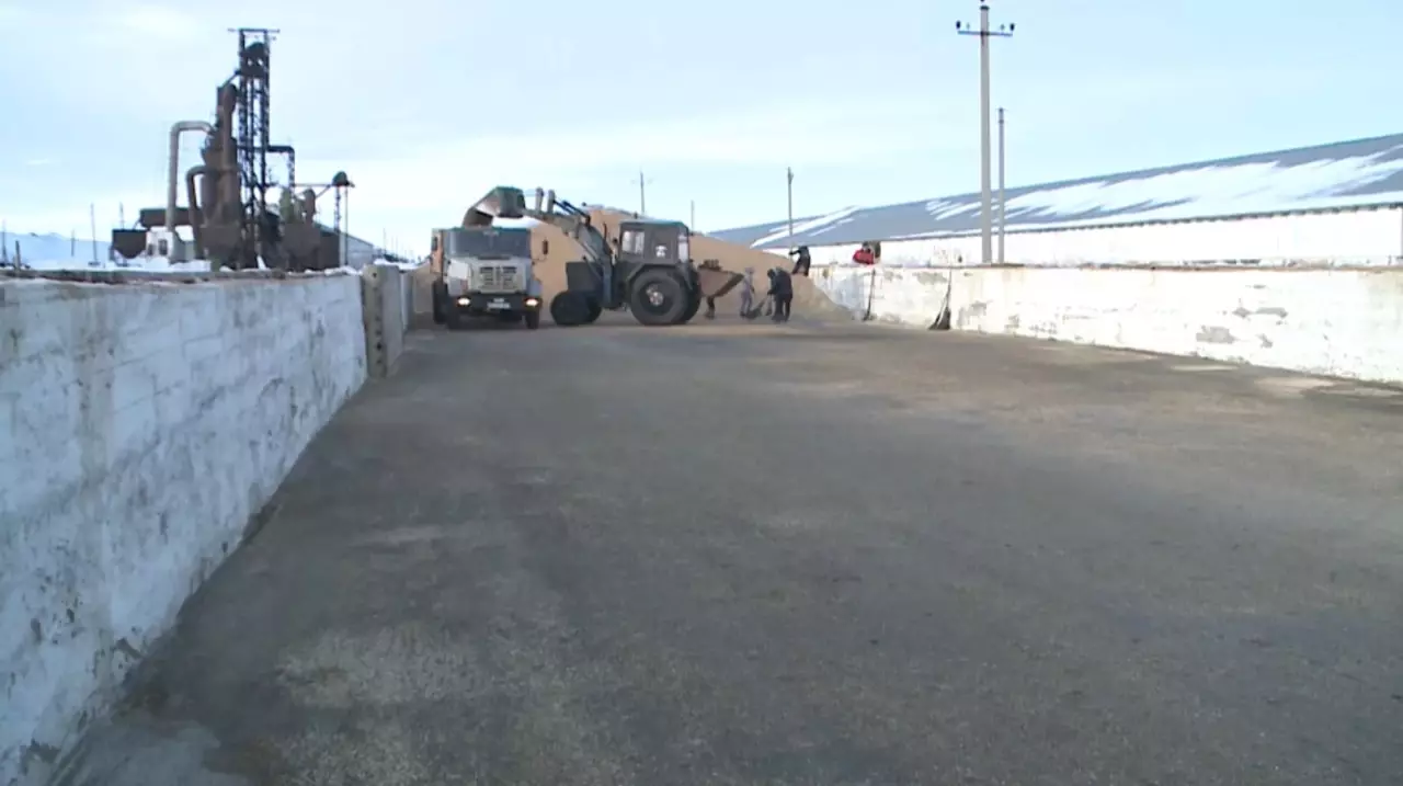 Экспорт зерна вырос на 39%