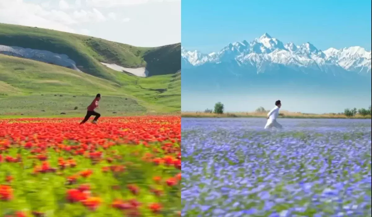 «Асыр салу»: Қазақстанның әсем табиғаты Instagram ресми парақшасына шықты (ВИДЕО)