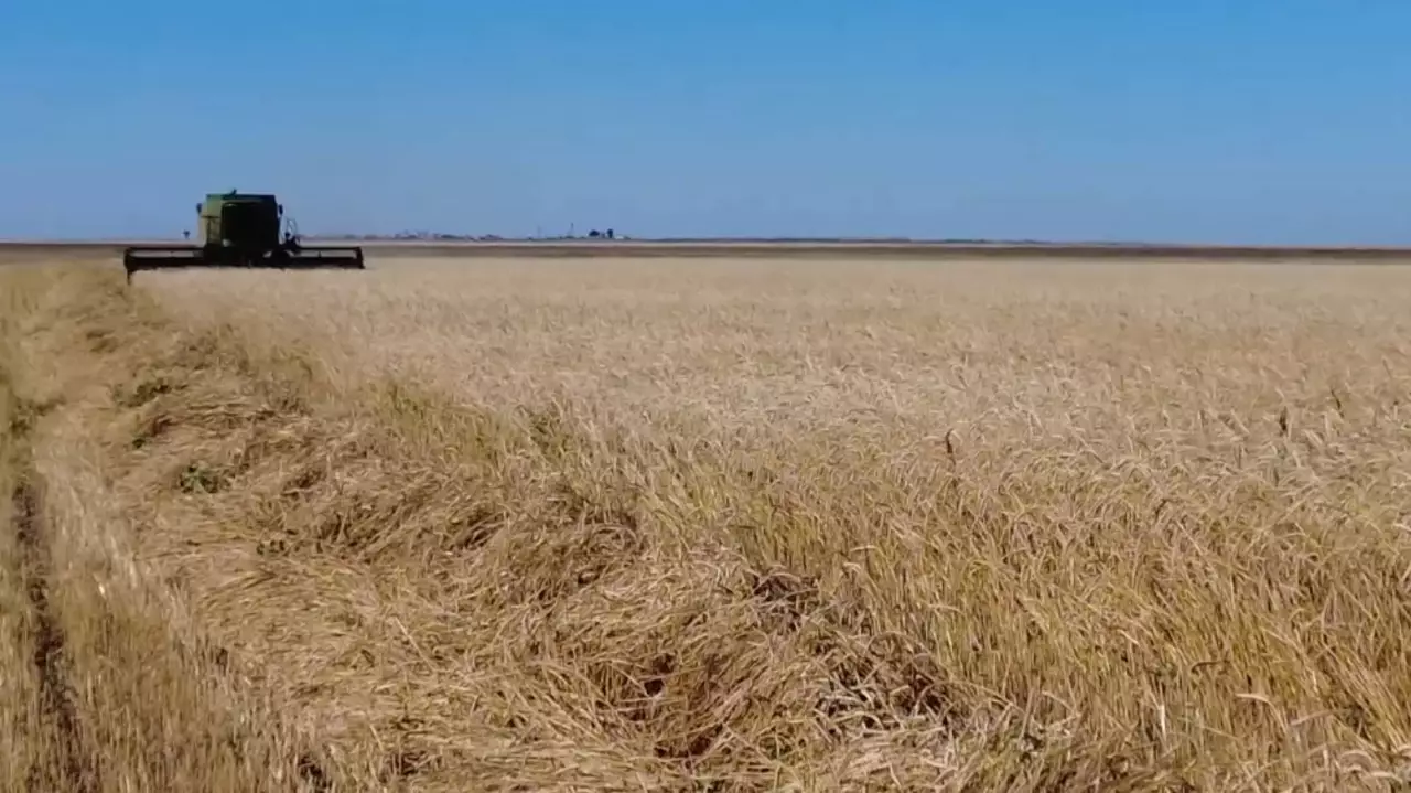 Для аграриев внедрят механизм кредитных линий