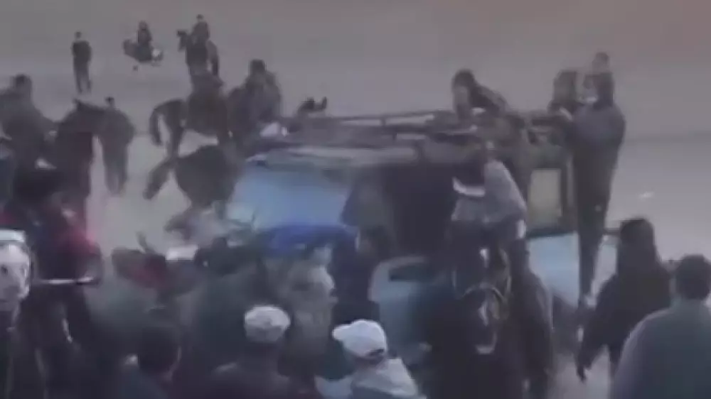 Қызылорда облысында көкпарға шыққан аттарды көлік қағып кеткен (видео)