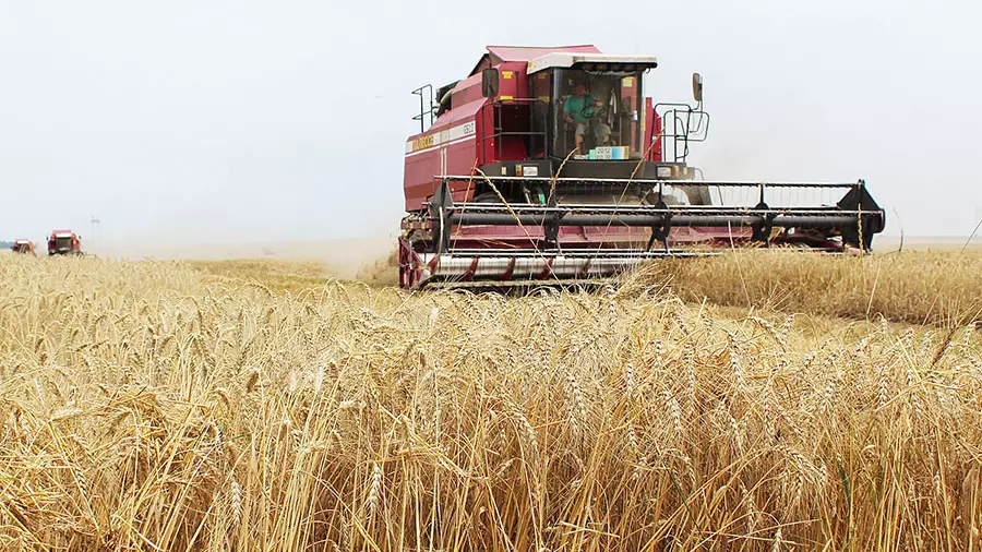 Астық өндірісі рекордтық деңгейге жетті