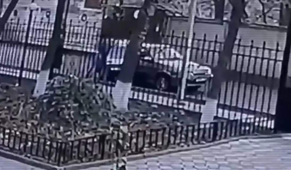 Қазақстанда жеті қызды алып қашқан 15 адам ұсталды: ІІМ қорқынышты видеоларды көрсетті