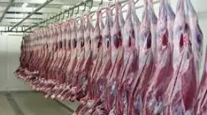 Ауыл шаруашылығы вице-министрі киік етін қорықпай ала беруге болатынына сендірді 