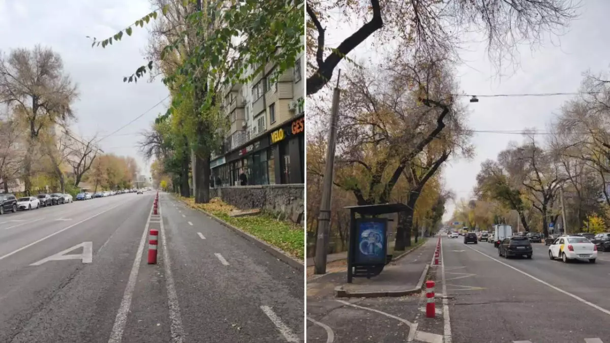 Қар шығару жұмыстарының сапасын арттыру үшін Алматыда жол бойындағы боллардтар алынып жатыр