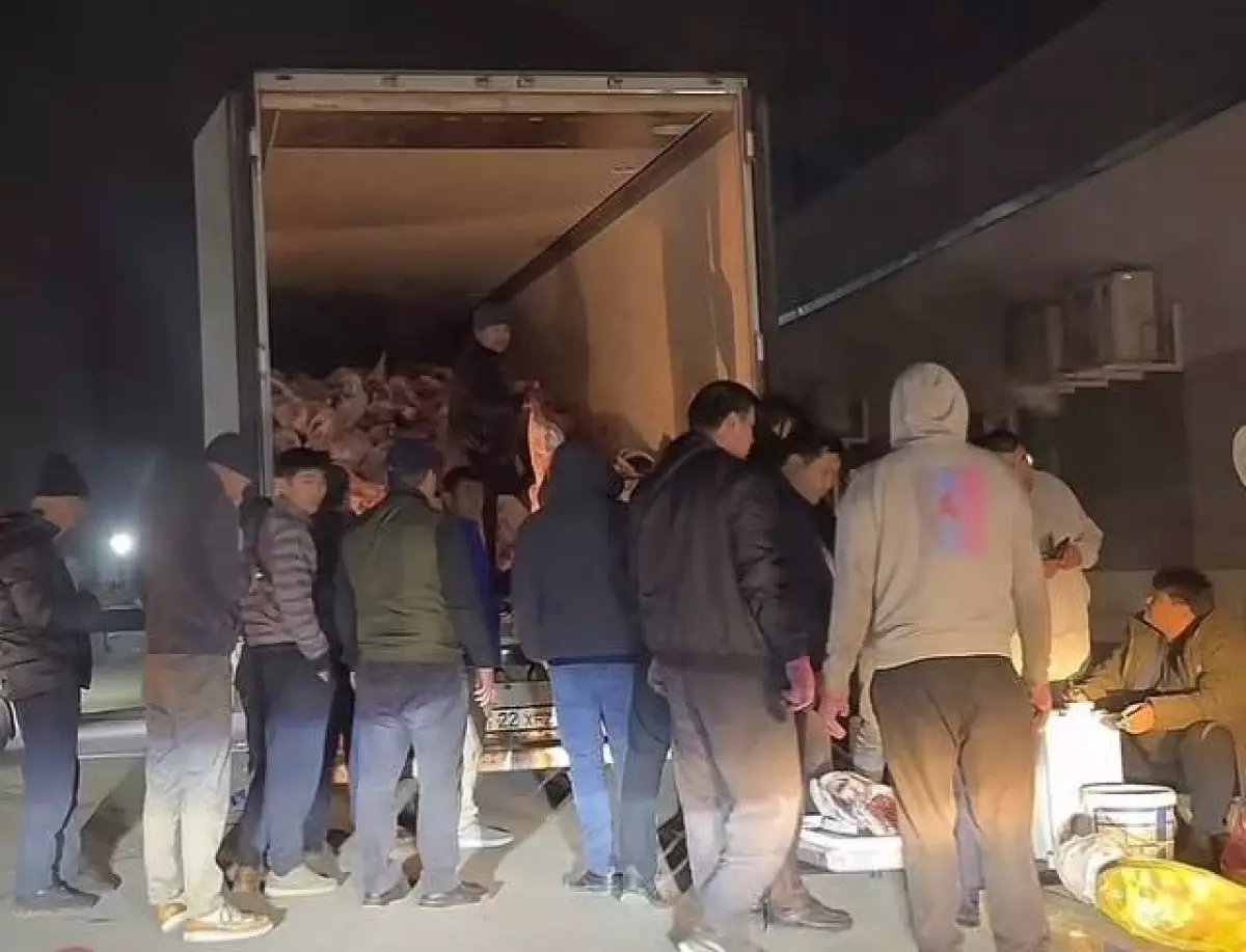 Мясо сайгаков скоро появится на прилавках супермаркетов Казахстана