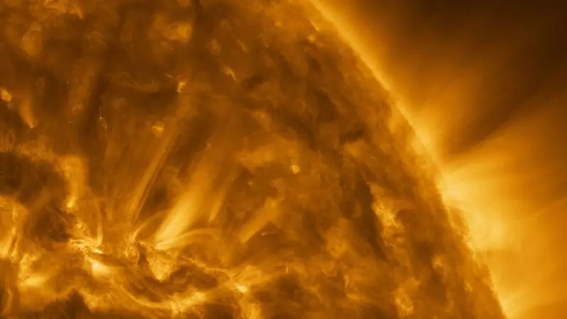 Адамзат тарихындағы ең эксклюзивті сурет түсірілді