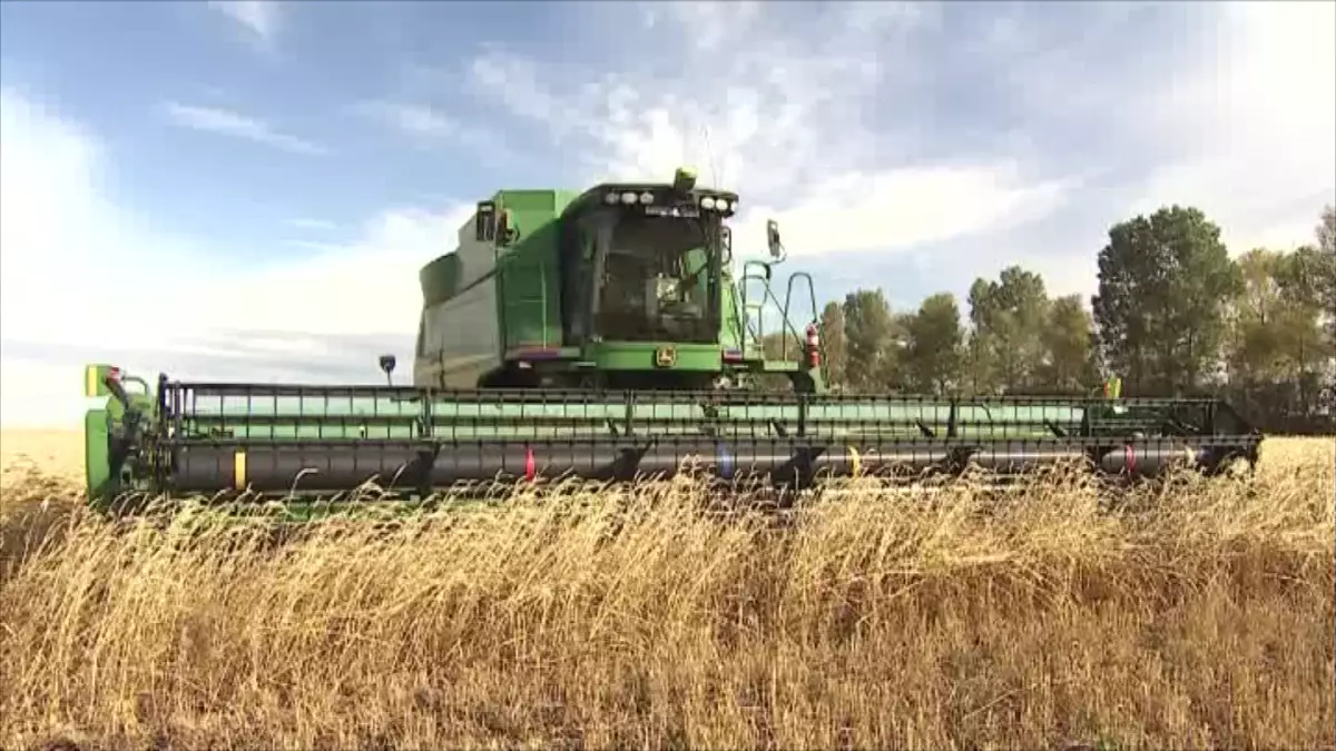 Лизинг: елімізде 250 млрд теңгеге ауыл шаруашылығы техникасын қаржыландырылды