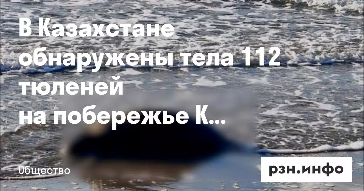 В Казахстане обнаружены тела 112 тюленей на побережье Каспийского моря.