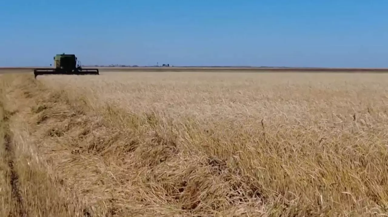 Күзгі жиын-терім қорытындысы