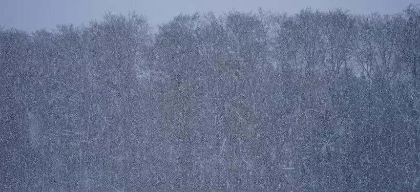 Штормовое предупреждение из-за метелей и гололеда объявили в ряде регионов Казахстана