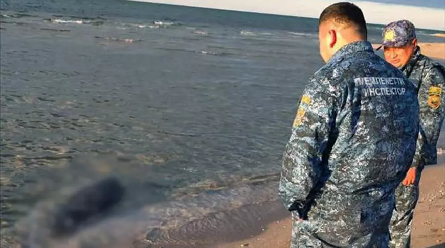 В Казахстане на берегу Каспийского моря экологи нашли 112 погибших тюленей.
