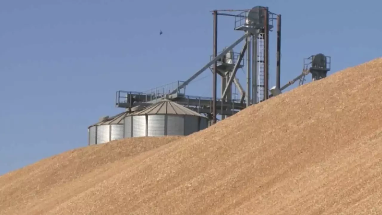 Нетрадиционные рынки: куда Казахстан экспортирует зерно