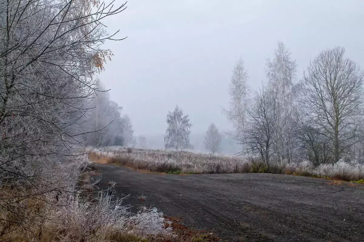 Гололед и туман: в каких регионах Казахстана объявили штормовое предупреждение
