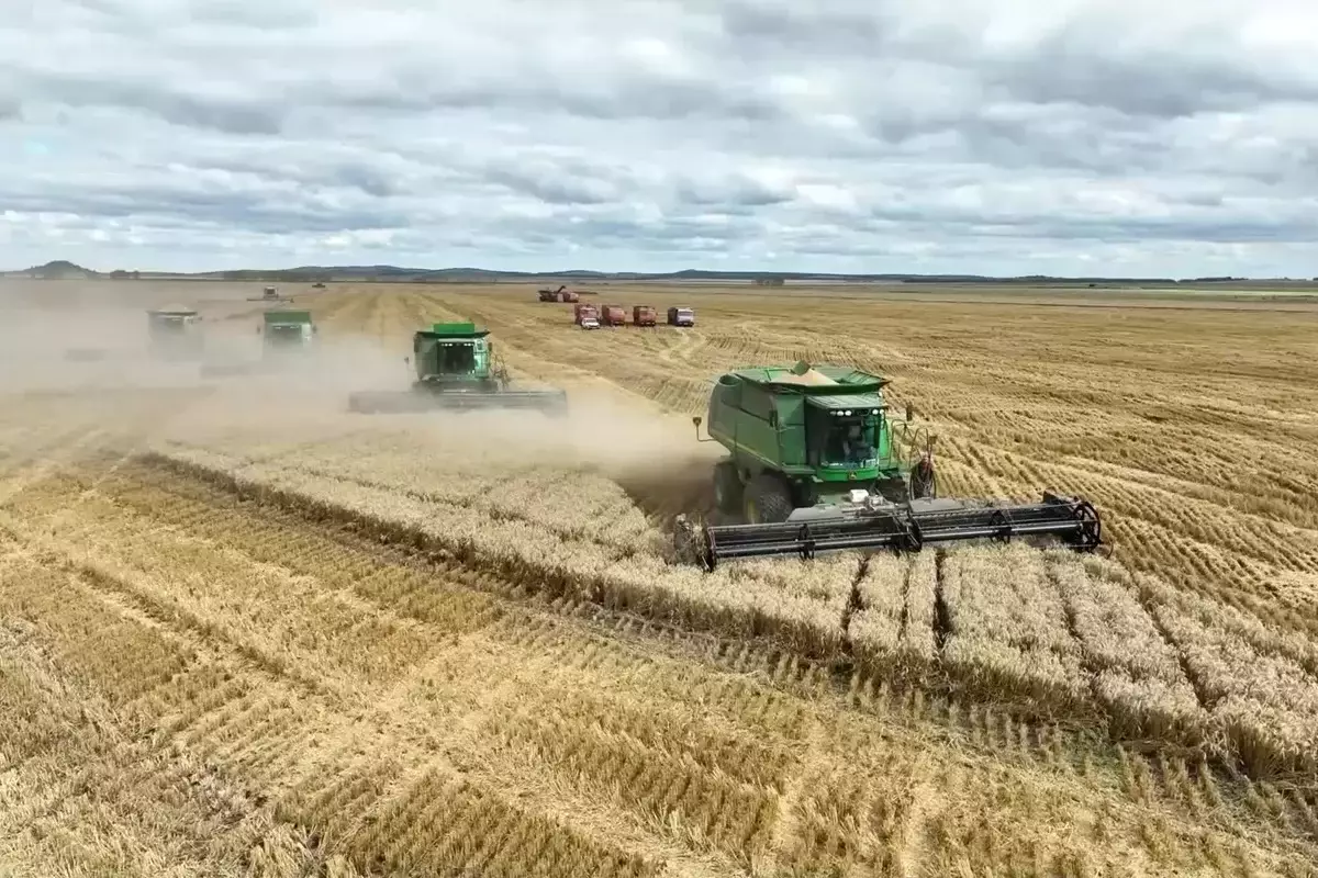 В Минсельхозе сокращают посевы влагоемких культур