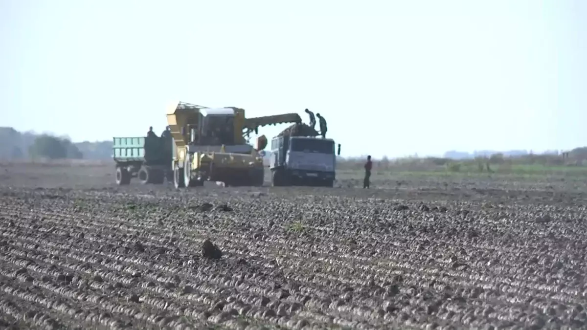 Елімізде суды көп қажет ететін дақылдар көлемі қысқартылады