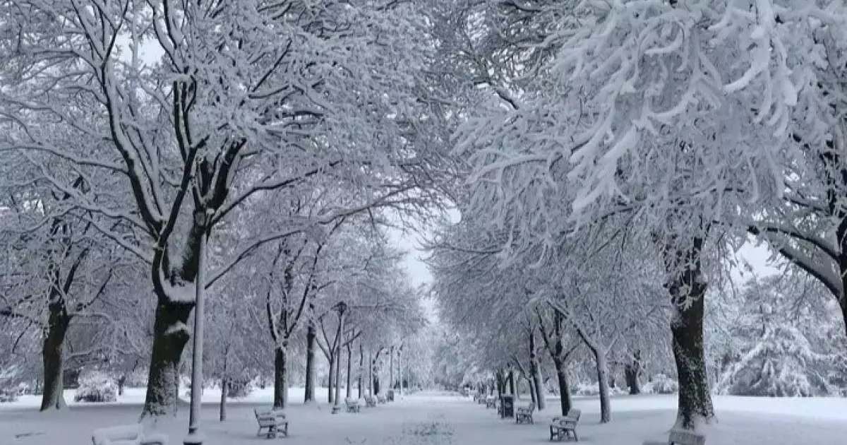  Ауа райына байланысты 11 өңірінде ескерту жарияланды 