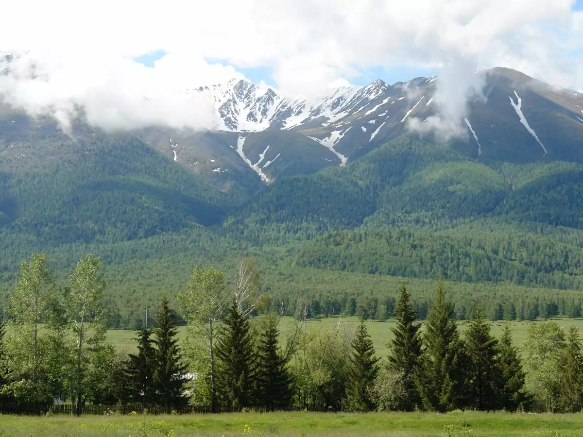 Казахстан на тарелке и в чемодане: 7 вкусных сувениров, которые захочется оставить себе.