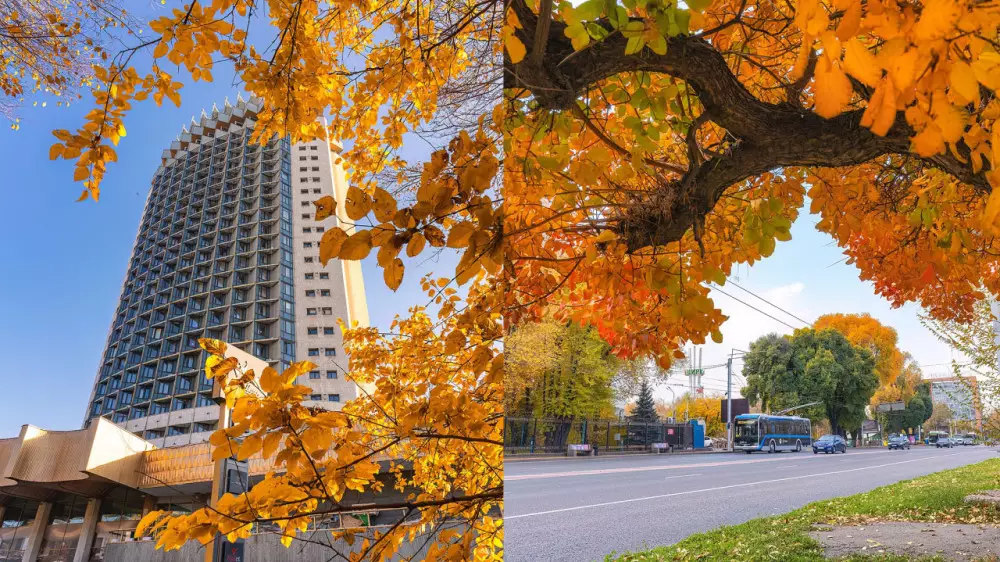 “Последнее дыхание осени“: как Алматы прощается с золотым сезоном, показал фотограф