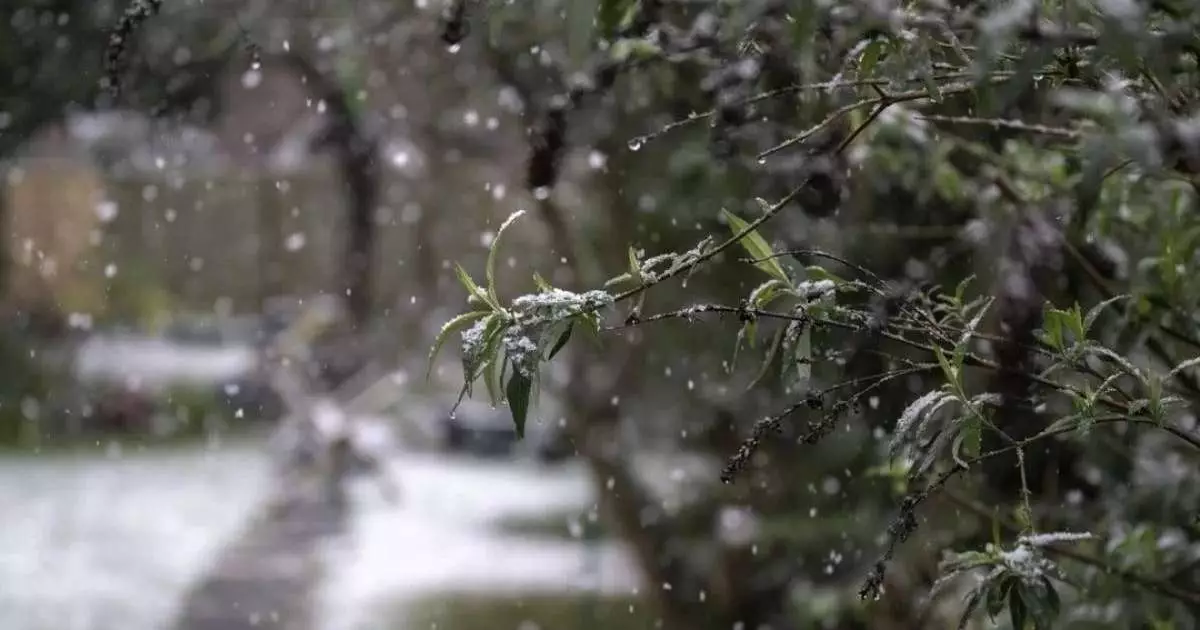  Еліміздің бірнеше аймағында қар жауып, соңы көктайғаққа ұласады 