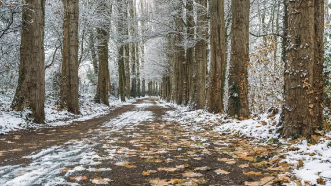 Қар, жаңбыр жауады: 5 қарашаға арналған ауа райы болжамы