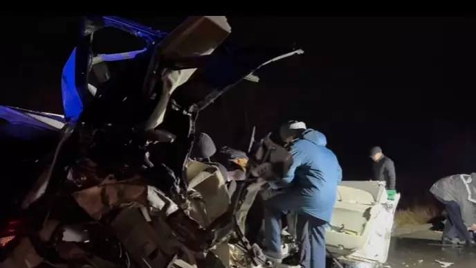 “5 адам оқиға орнында қаза болған” - Шығыс Қазақстандағы жантүршігерлік апат туралы тың дерек анықталды