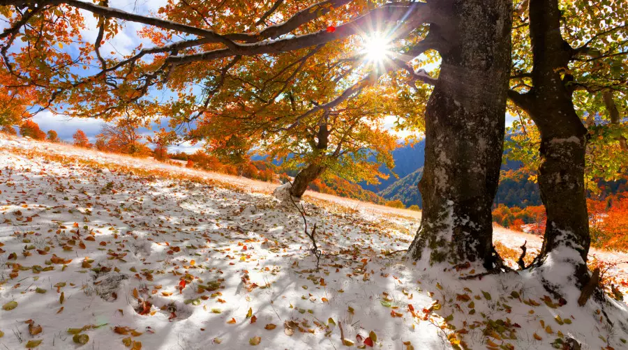 Алдағы күндері ауа райы қандай болады?