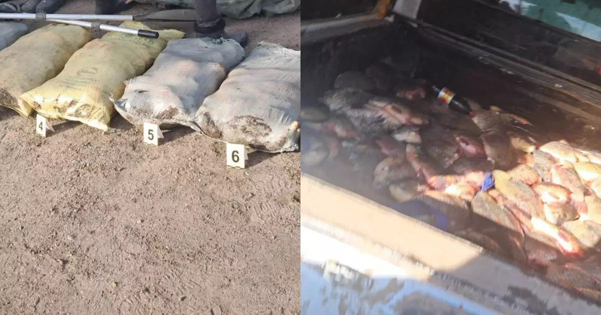  Павлодар облысында 300 келіге жуық балықты заңсыз аулаған азамат ұсталды 