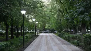 Алмалы ауданында жаңа саябақтар ашылып, көшелер көгалданып жатыр  