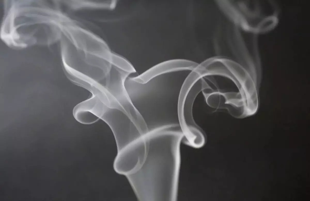 Курение марихуаны обернулось арестом для двух жителей Алматинской области