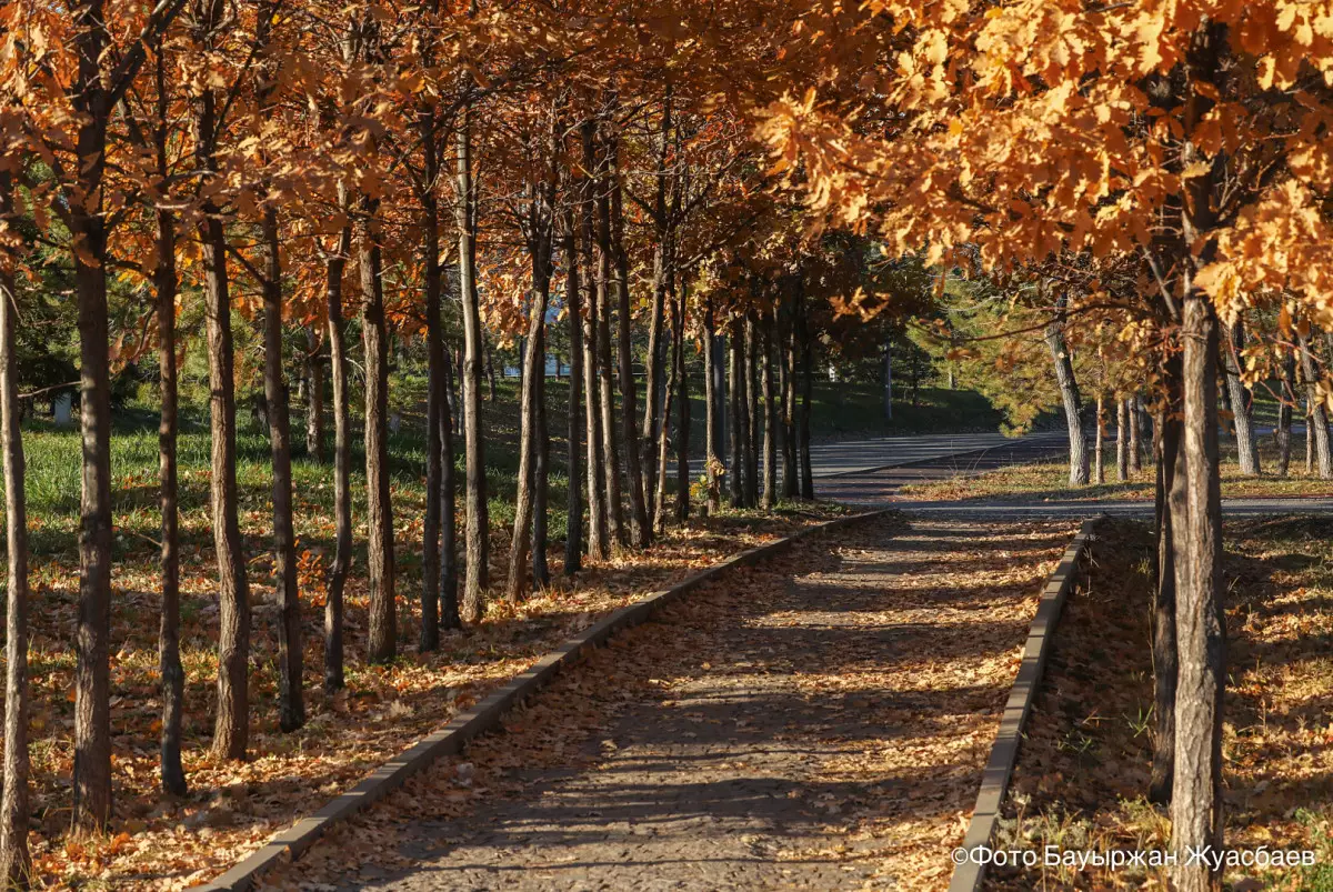 Потепление до +15 ожидается в ближайшие дни в Казахстане