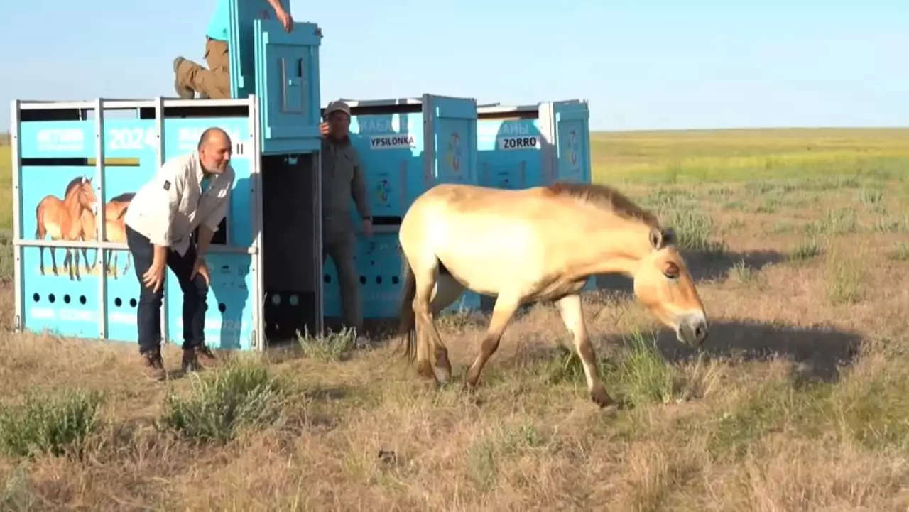 Елімізде 4,5 мың құлан бар