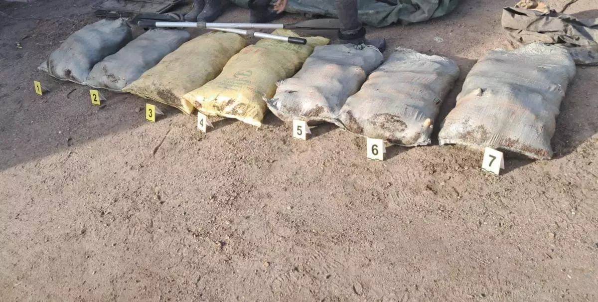 Почти 300 кг рыбы изъяли у браконьеров в Павлодарской области