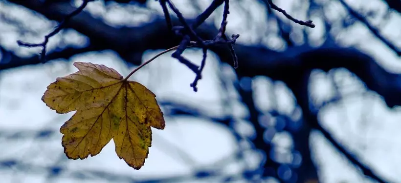 Штормовое предупреждение объявили в нескольких областях Казахстана