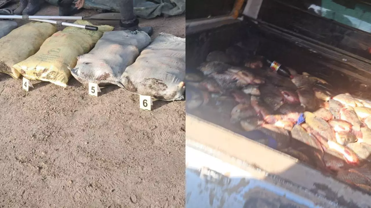 Почти 300 кг незаконно выловленной рыбы изъяли в Павлодарской области