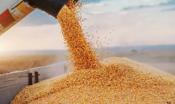 Казахстан расширяет экспорт зерна в Европу и другие страны.