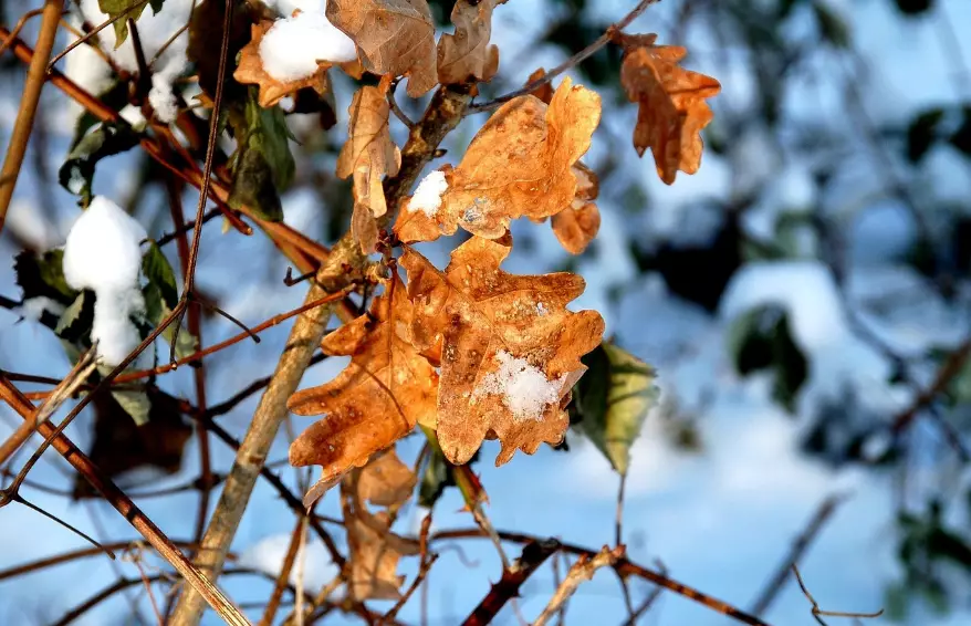 Осадки и туманы ожидаются в четверг в 12 областях Казахстана