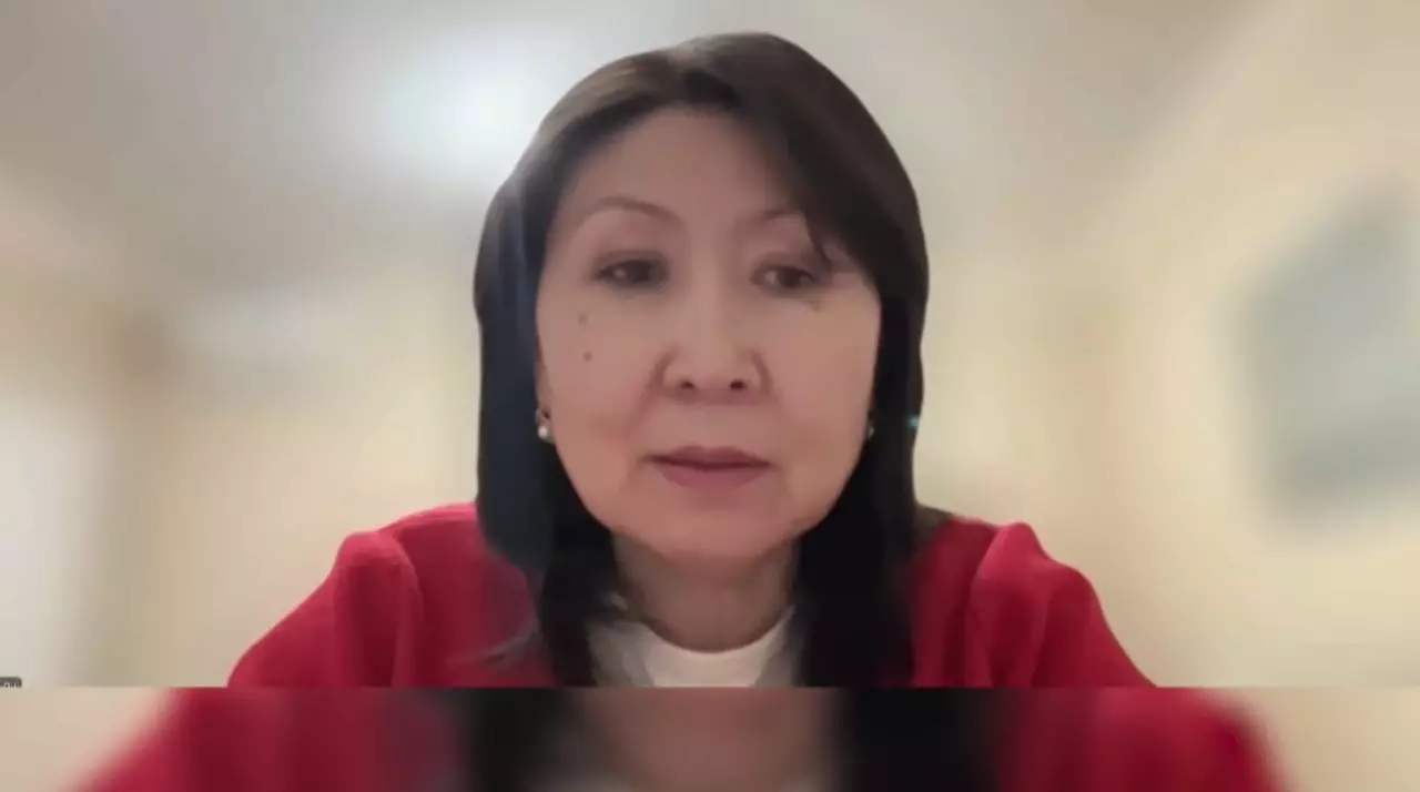 Указ о внутренней политике отражает идеологию масштабных реформ – Садвокасова