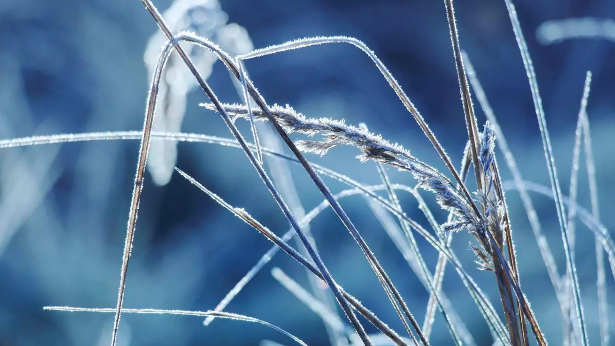 Боран, қар, көктайғақ: 12 өңірде дауылды ескерту жарияланды