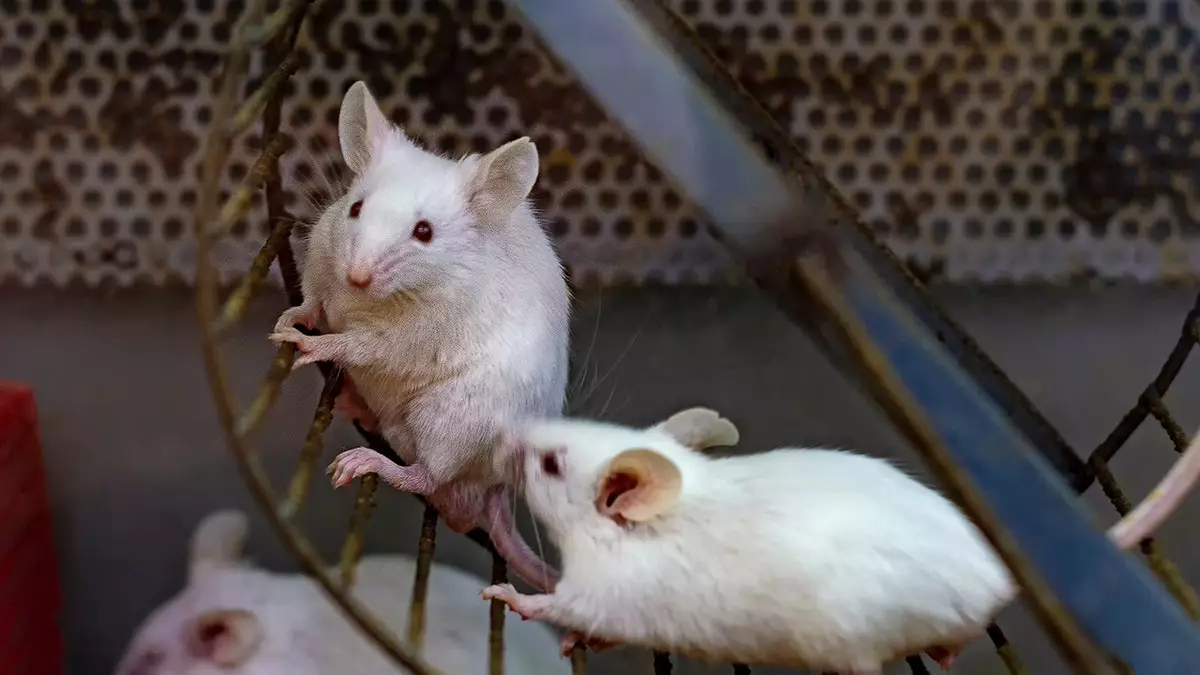 Исследование показало, что профилактика диабета связана с определенным видом физических упражнений.