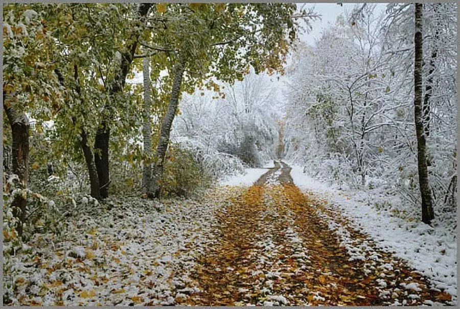 Қар және боран: Қазақстанның бірқатар облысында ауа райы бұзылады