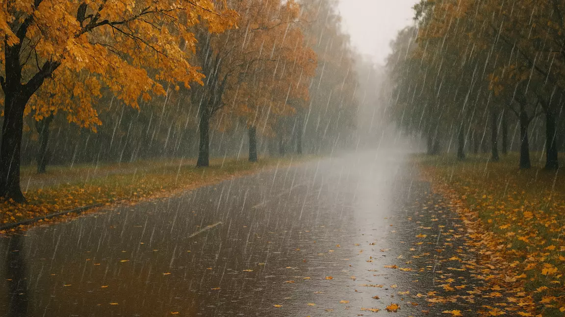 6 қарашада ауа райы қандай болады?