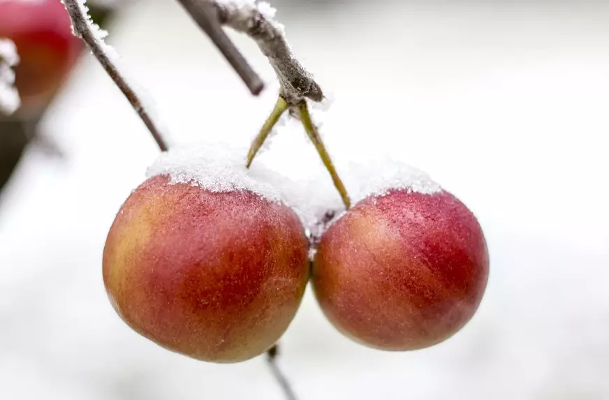 Снег и гололедица ожидается в четверг в Астане, в Алматы и Шымкенте без осадков