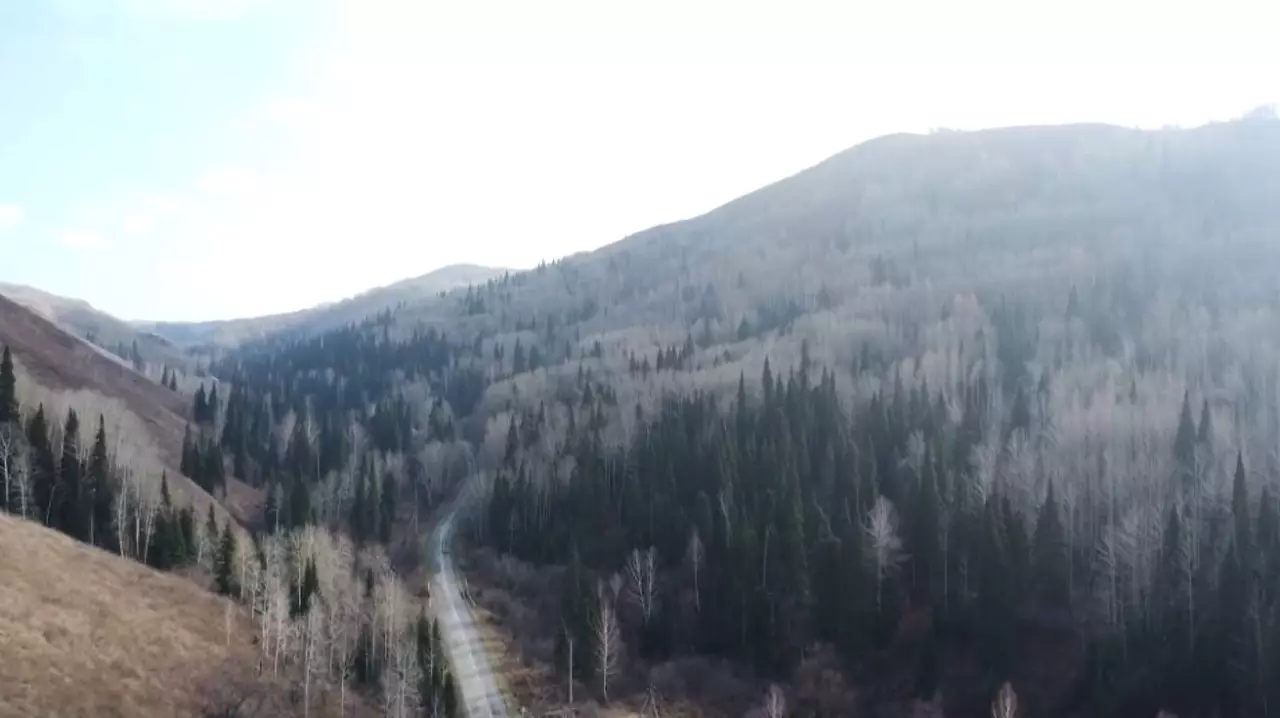 ЖИ қауіпсіздікті бақылайды